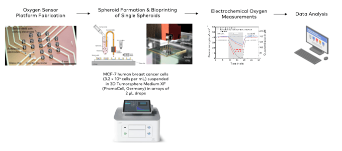 Bioprinting-Based Automated Deposition of Single Cancer Cell Spheroids Using the I.DOT (The Royal Society of Chemistry)