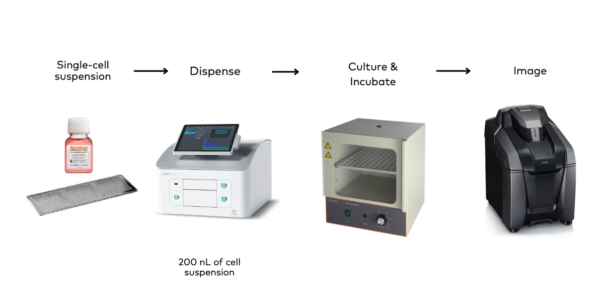 Drug discovery workflow using the I.DOT