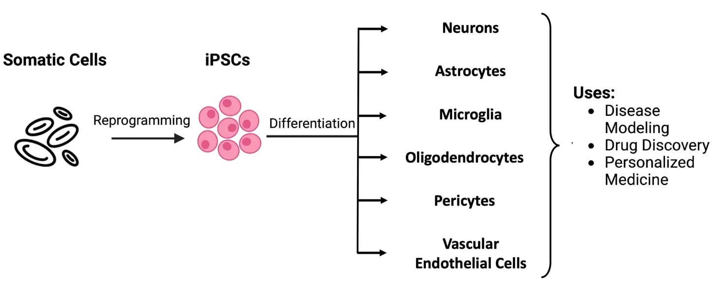 CYTENA - Cellular Reprogramming - 32kb