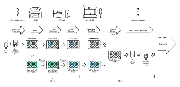 Sketched overview of a validated NGS library semi-automated workflow using combination of I.DOT & G.PURE.