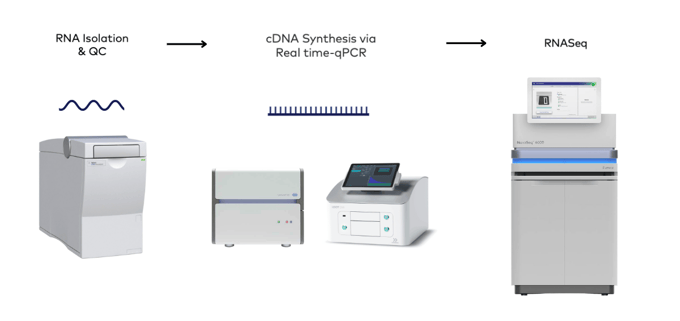 Hepatic Encephalopathy: Unveiling Early and Sustained Glial Transcriptional Alterations & the I.DOT Liquid Handler (Journal of Neuroinflammation)