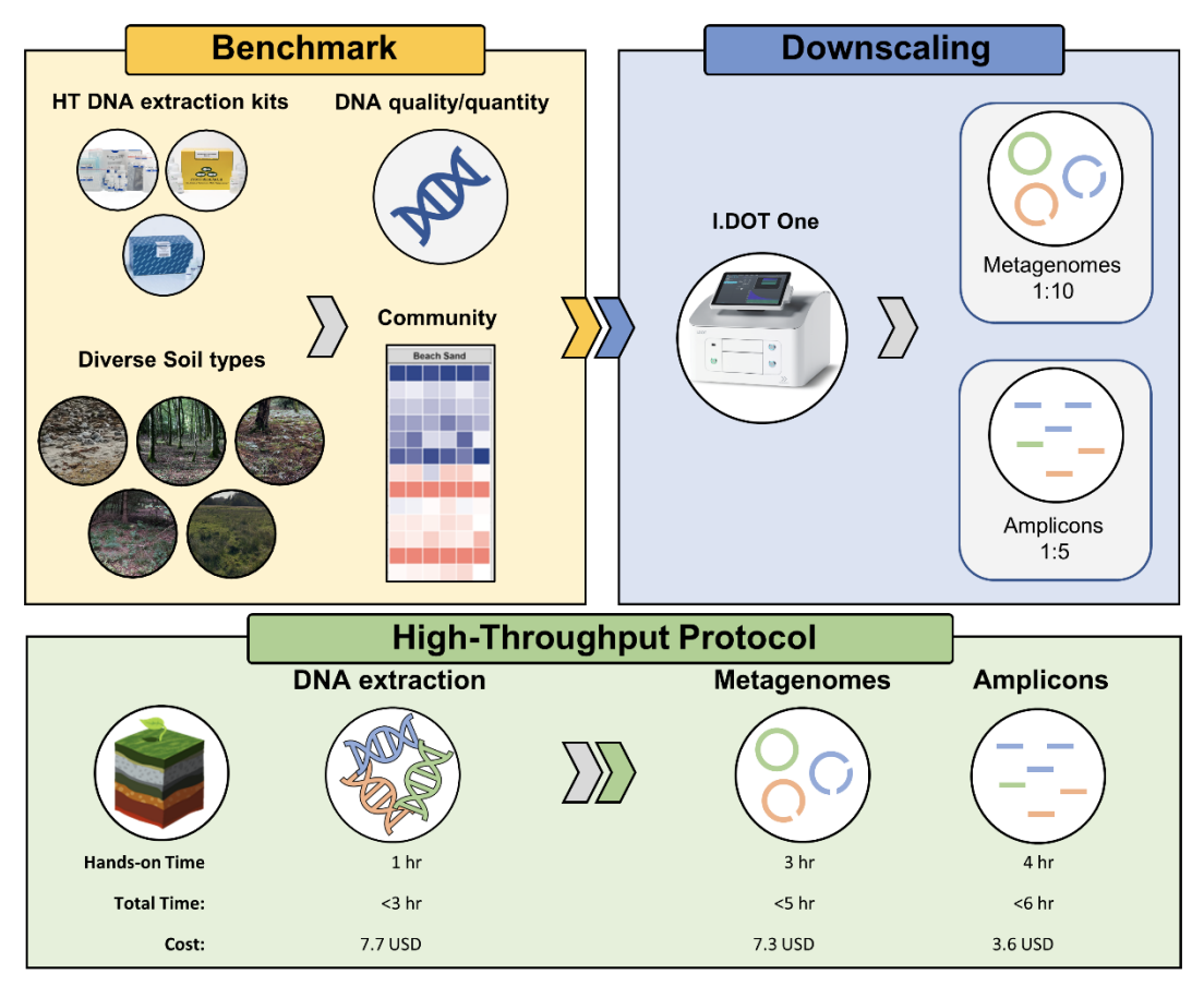 This experiment compared three high-throughput DNA extraction methods for analyzing microbial communities in five soil types. We assessed extracted DNA quality, quantity, and ability to represent the community. The I.DOT Liquid Handler then miniaturized library preparation for metagenomes and amplicons. We further analyzed hands-on time, total processing time, and cost per sample for each step, from DNA extraction to final product. Notably, two 96-well plates can be processed concurrently for both metagenomes and amplicons. This approach offers faster analysis, reduced materials usage, and cost savings compared to traditional methods.