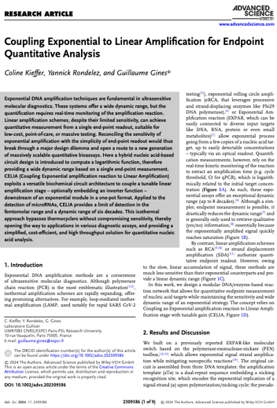 Coupling Exponential to Linear Amplification for Endpoint Quantitative Analysis research paper published in Advanced Science.